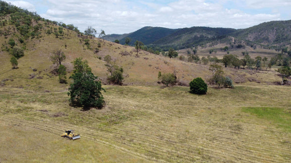 Photo of the Ivory Creek landscape in QLD.