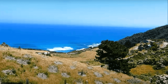 Landscape image of a Greenfleet sight that looks over the ocean. 