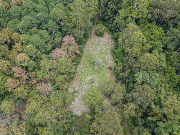 Landscape image of Dangerbridge site in QLD.