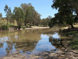Photo of Big Tree in NSW. Landscape included a lake and large trees.