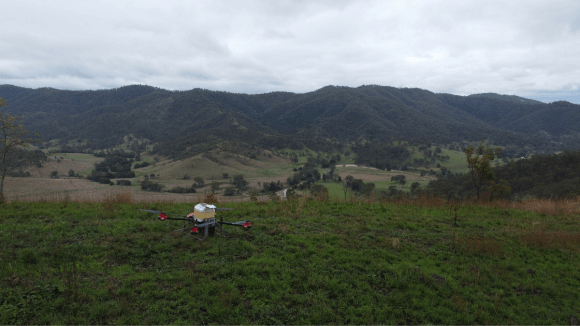 Landscape photo of a forest with rolling hills