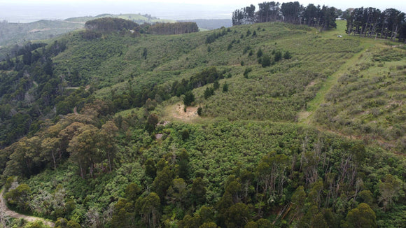 Photo of the landscape at Jumbuk in Victoria.