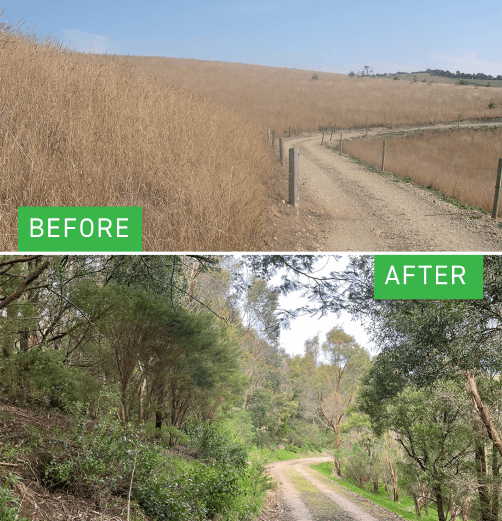 Before and after photo of Battery Creek road site.