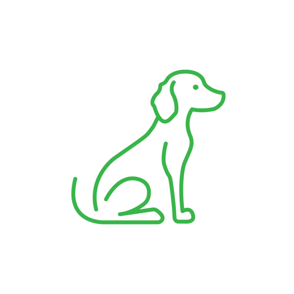 Green outline icon of a medium size dog