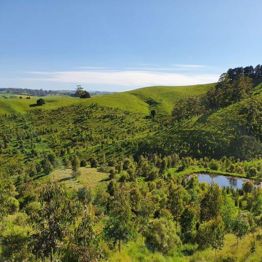 landscape of Wurneet Laang Laang