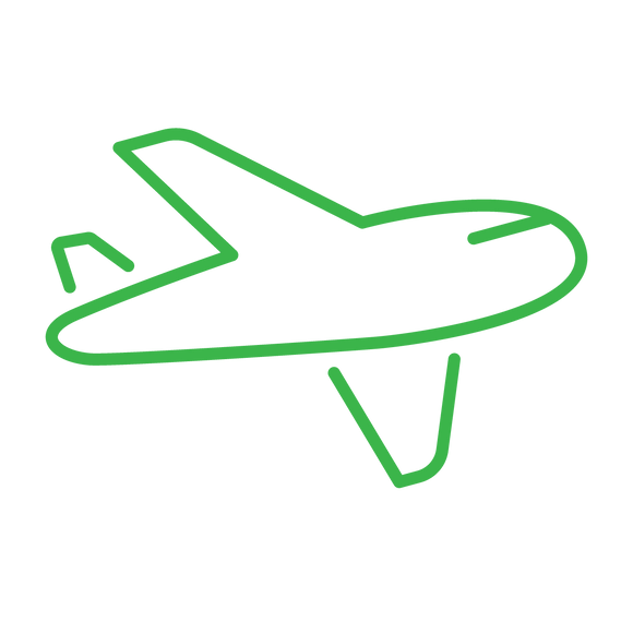 Green icon of airplane. Flight Offset - DOMESTIC SHORT Return Flight (0.8 tonnes of CO2-e)