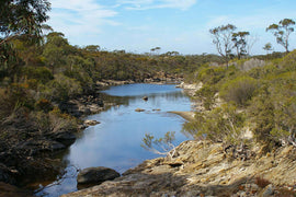 Photo of the landscape at Gairdner in WA.