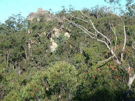 Photo of the landscape at Brinkley in SA.