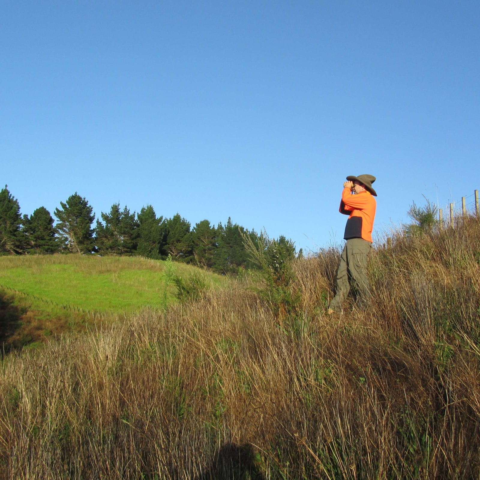  landscape photo with male in orange high-vis clothing looking out into forest.